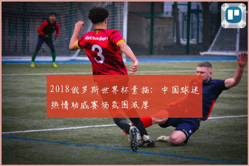 2018俄罗斯世界杯素描:中国球迷热情助威赛场氛围浓厚