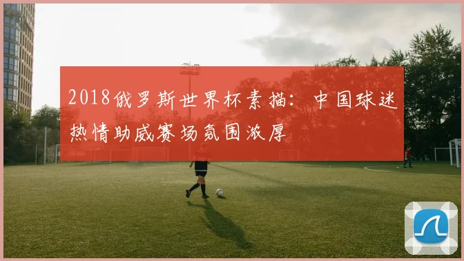 2018俄罗斯世界杯素描:中国球迷热情助威赛场氛围浓厚