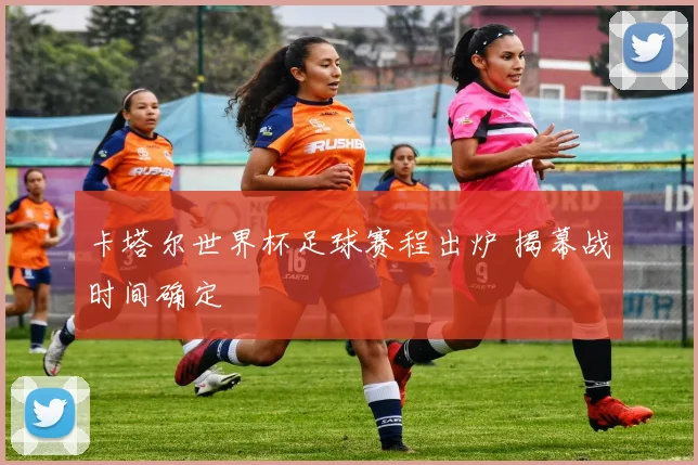 卡塔尔世界杯足球赛程出炉 揭幕战时间确定