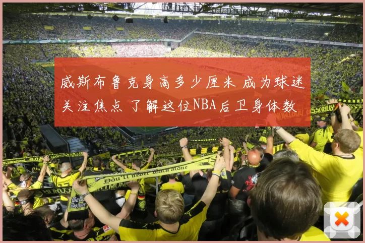 威斯布鲁克身高多少厘米 成为球迷关注焦点 了解这位NBA后卫身体数据和比赛特点