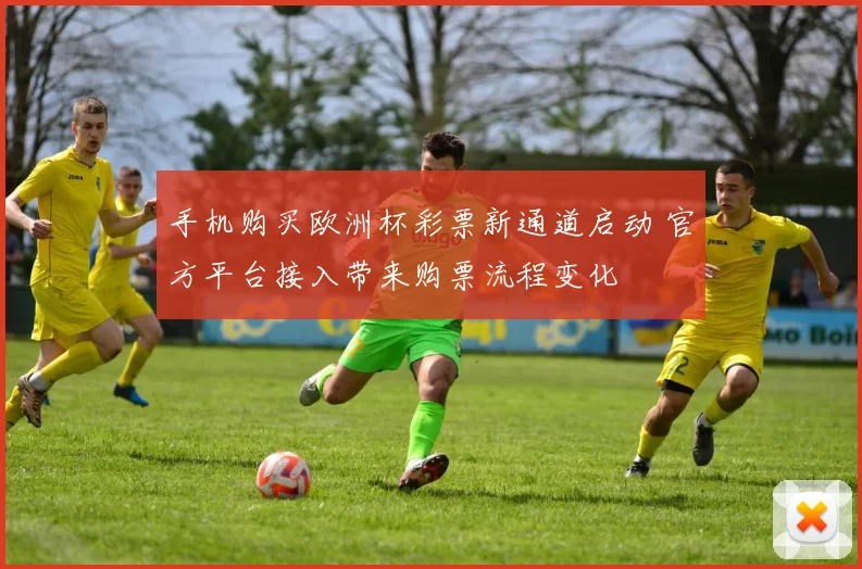 手机购买欧洲杯彩票新通道启动 官方平台接入带来购票流程变化